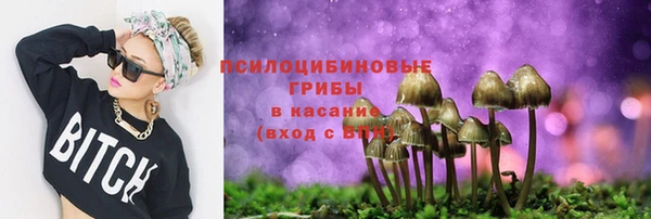 трава Киреевск