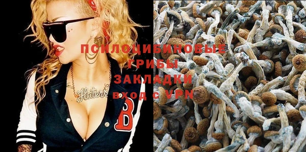 трава Киреевск