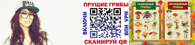 Псилоцибиновые грибы ЛСД  Купить где  Весьегонск 